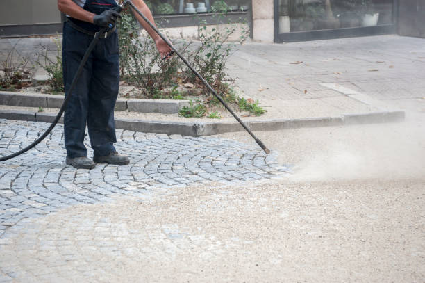 Best Animal Enclosure Cleaning  in Bellevue, PA